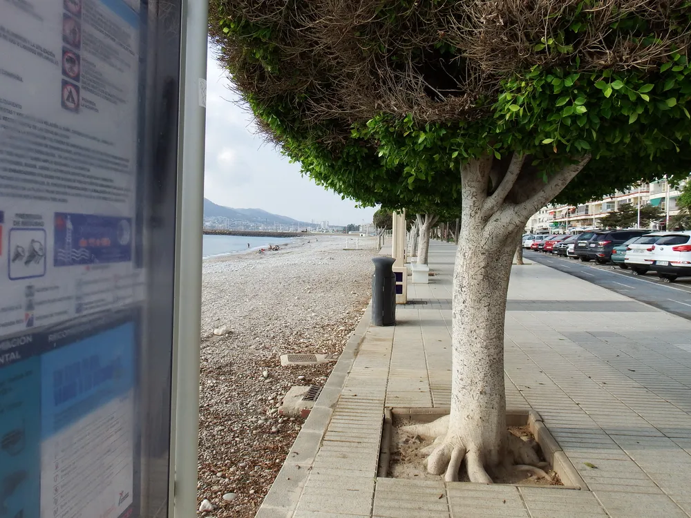 Playa La Roda