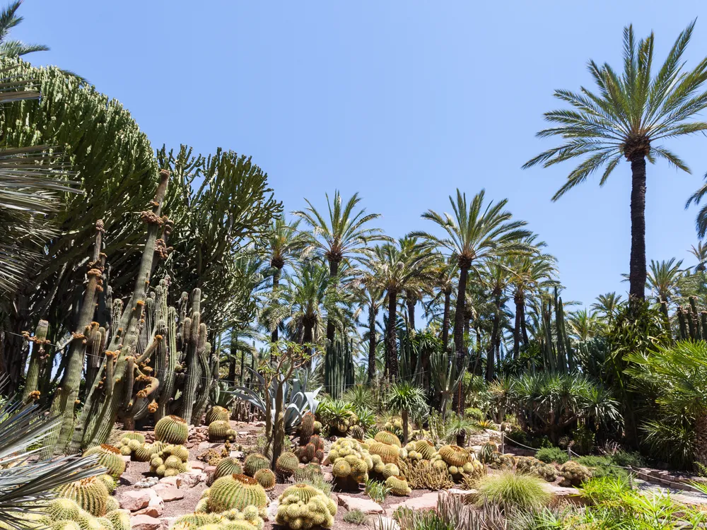 Huerto del Cura