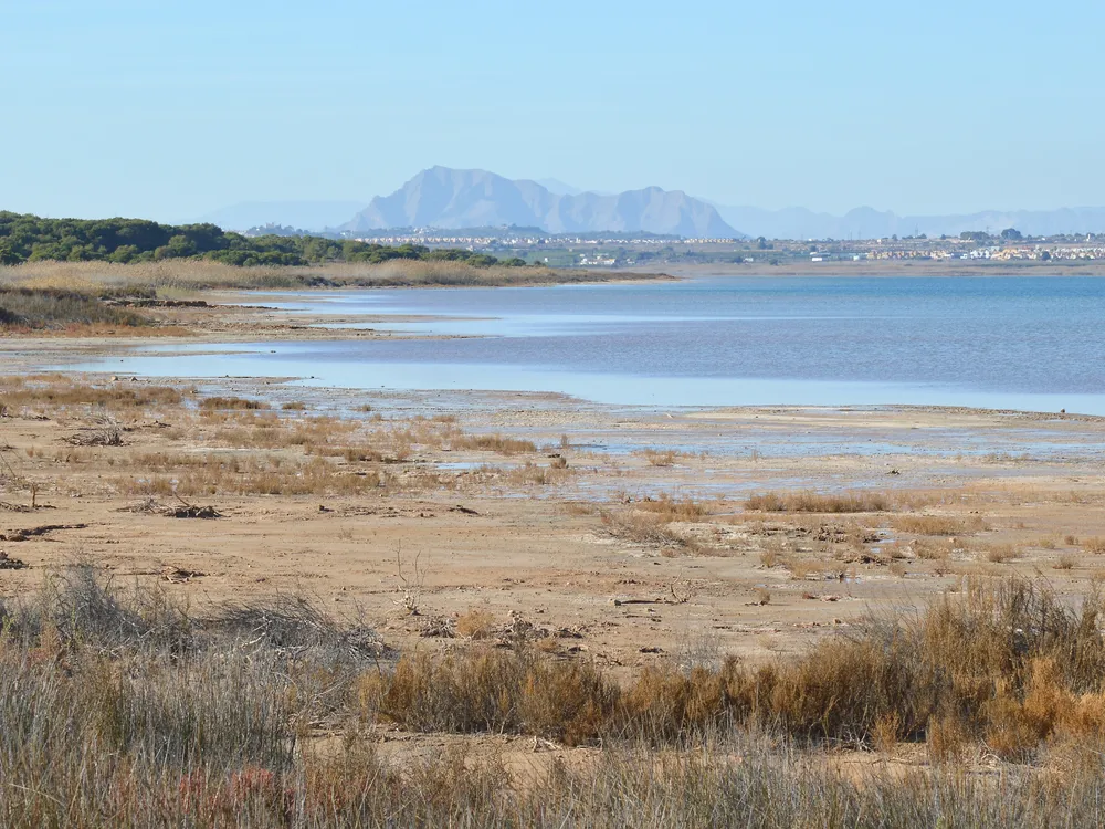 Parque Natural de las Lagunas de La Mata y Torrevieja (Laguna Rosa)