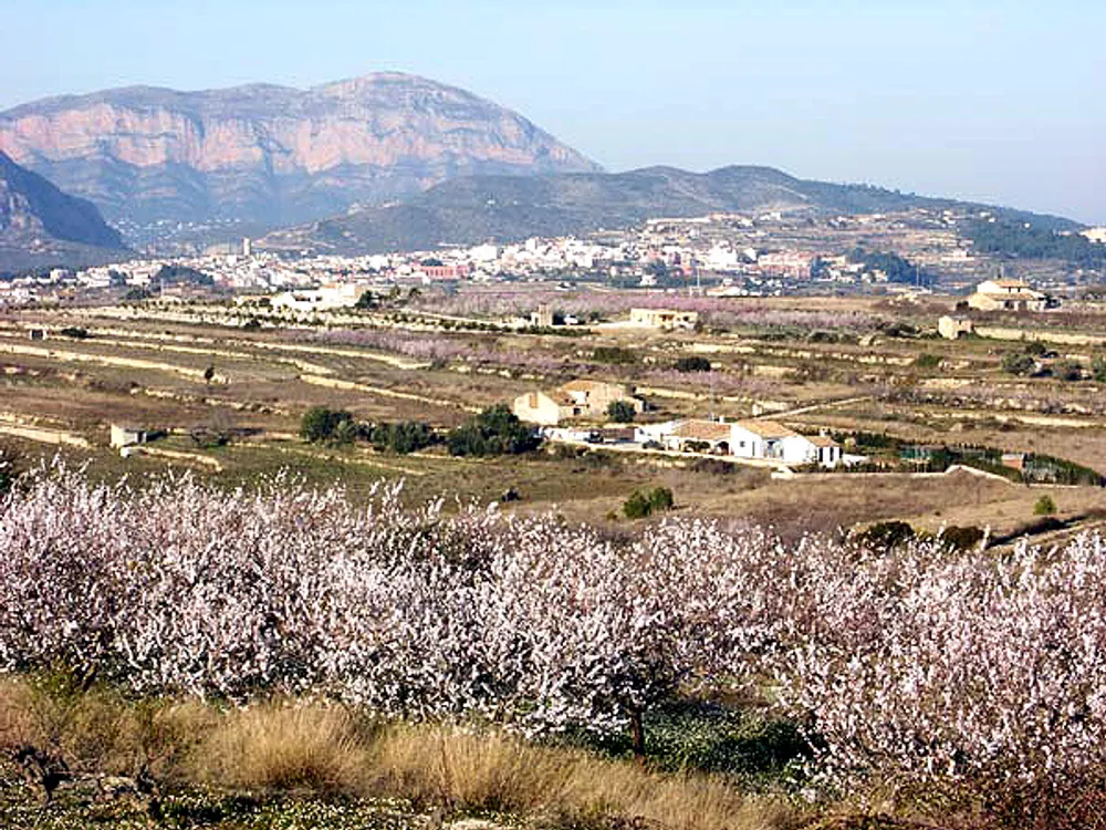 Teulada-Moraira